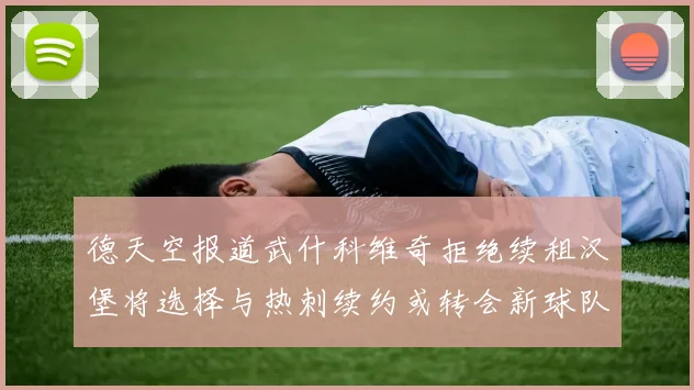 德天空报道武什科维奇拒绝续租汉堡将选择与热刺续约或转会新球队