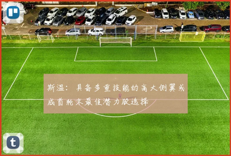 斯温：具备多重技能的高大侧翼或成首轮末最佳潜力股选择