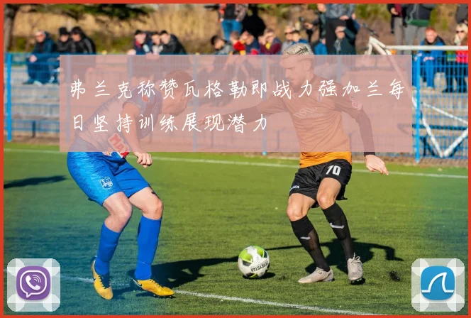 弗兰克称赞瓦格勒即战力强加兰每日坚持训练展现潜力